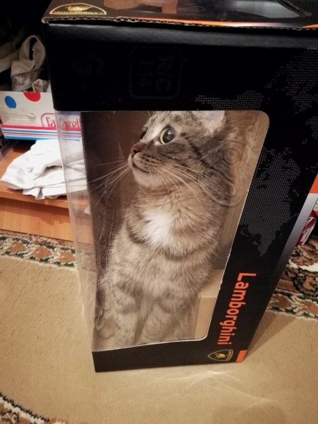 25 людей, які не хочуть бути як всі