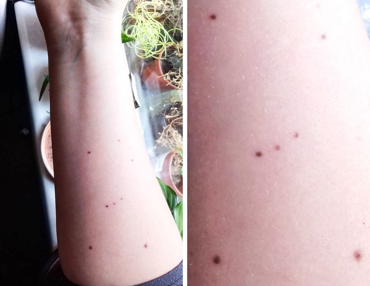 25 небанальних татуювань, які змінять вашу думку про цьому виді мистецтва