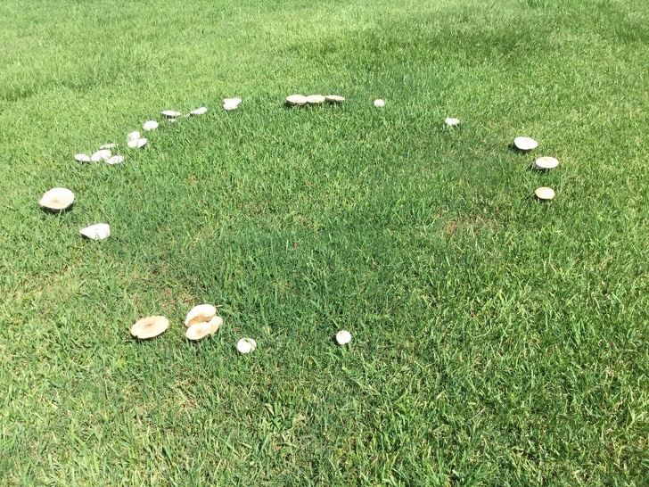 25 осіб, які наткнулися на щось оригінальне і розповіли про це всьому людству