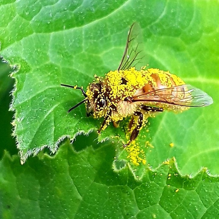 25 осіб, які наткнулися на щось оригінальне і розповіли про це всьому людству
