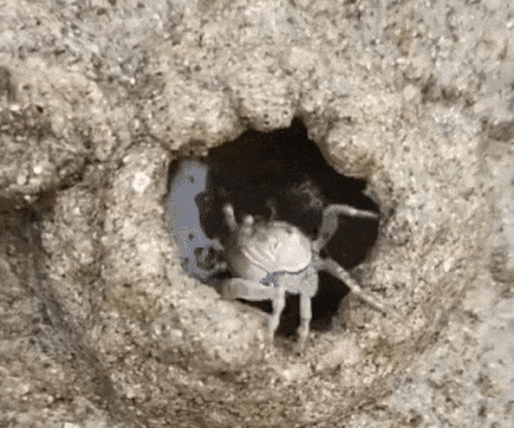 25 осіб, які наткнулися на щось оригінальне і розповіли про це всьому людству