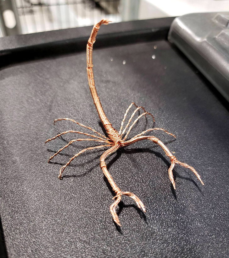 25 осіб, які наткнулися на щось оригінальне і розповіли про це всьому людству