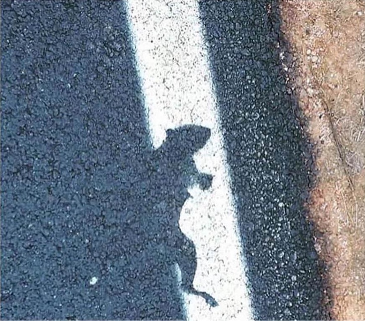 25 осіб, які наткнулися на щось оригінальне і розповіли про це всьому людству