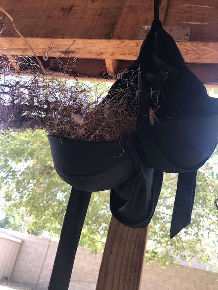 25 осіб, які наткнулися на щось оригінальне і розповіли про це всьому людству