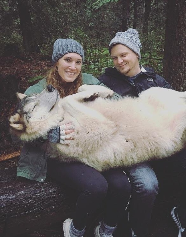 25 пар, які знають, що спільне життя — то ще пригода