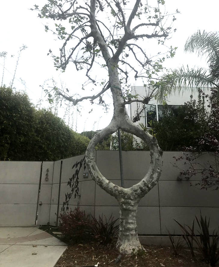 25 речей, які варто побачити як мінімум раз у житті. Хоча б на фотографіях