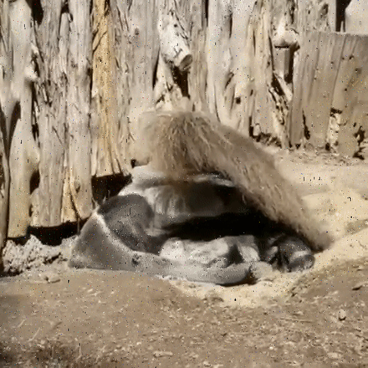 25 речей, які варто побачити як мінімум раз у житті. Хоча б на фотографіях