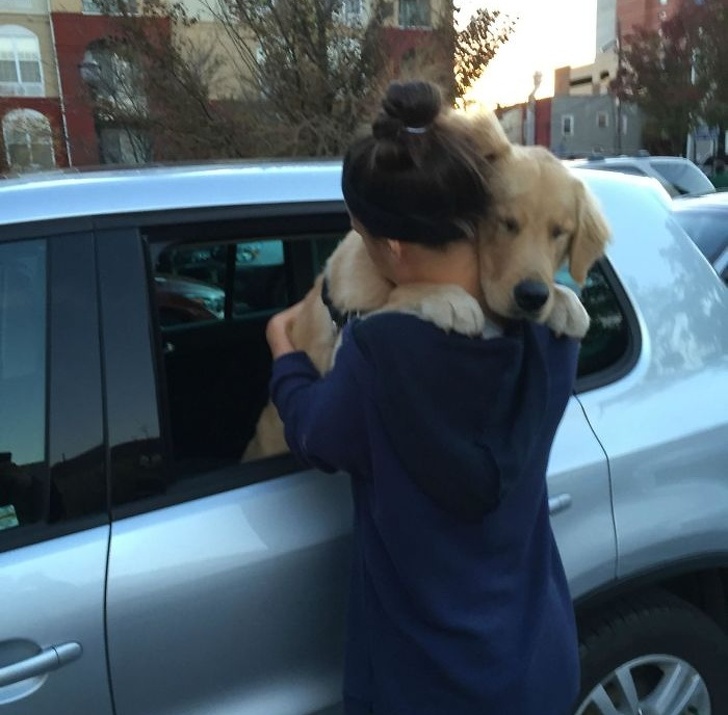 25 собак, які покажуть вам, що таке справжня любов