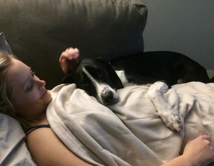 25 собак, які покажуть вам, що таке справжня любов