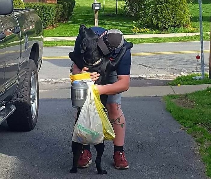 25 собак, які покажуть вам, що таке справжня любов