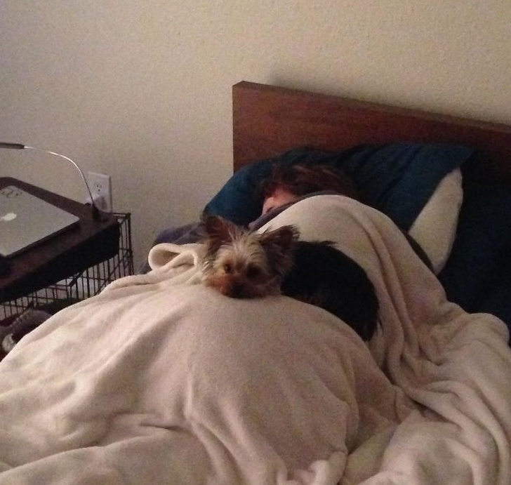 25 собак, які покажуть вам, що таке справжня любов