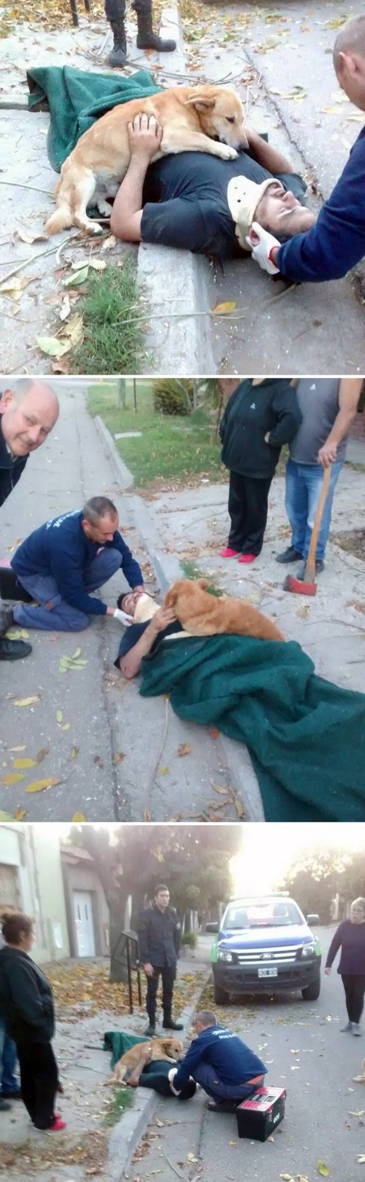 25 собак, які покажуть вам, що таке справжня любов