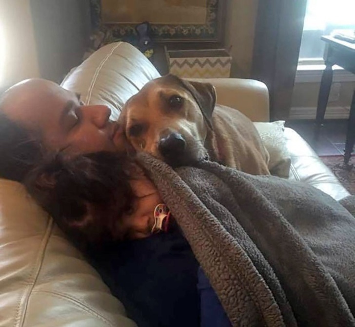 25 собак, які покажуть вам, що таке справжня любов