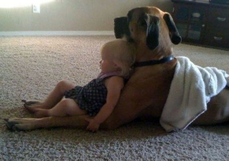 25 собак, які покажуть вам, що таке справжня любов