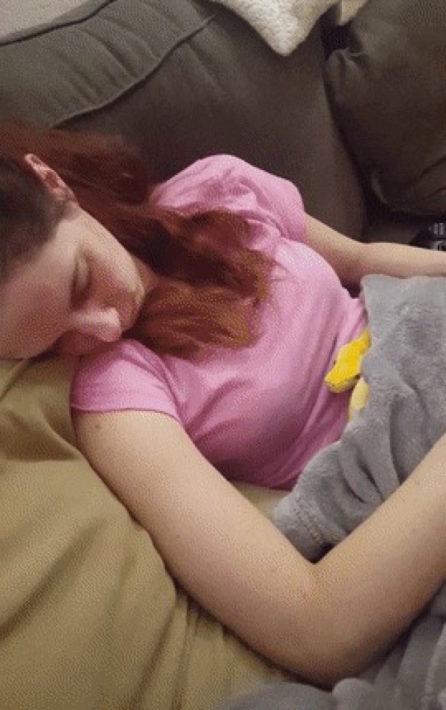 25 відважних тварин, що програли битву зі сном