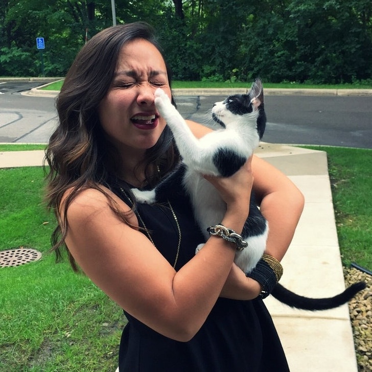 26 домашніх тварин, які перейшли на темну сторону