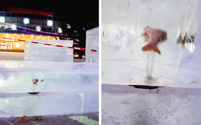 26 фотографій, після перегляду яких спливає питання «Що це було?»