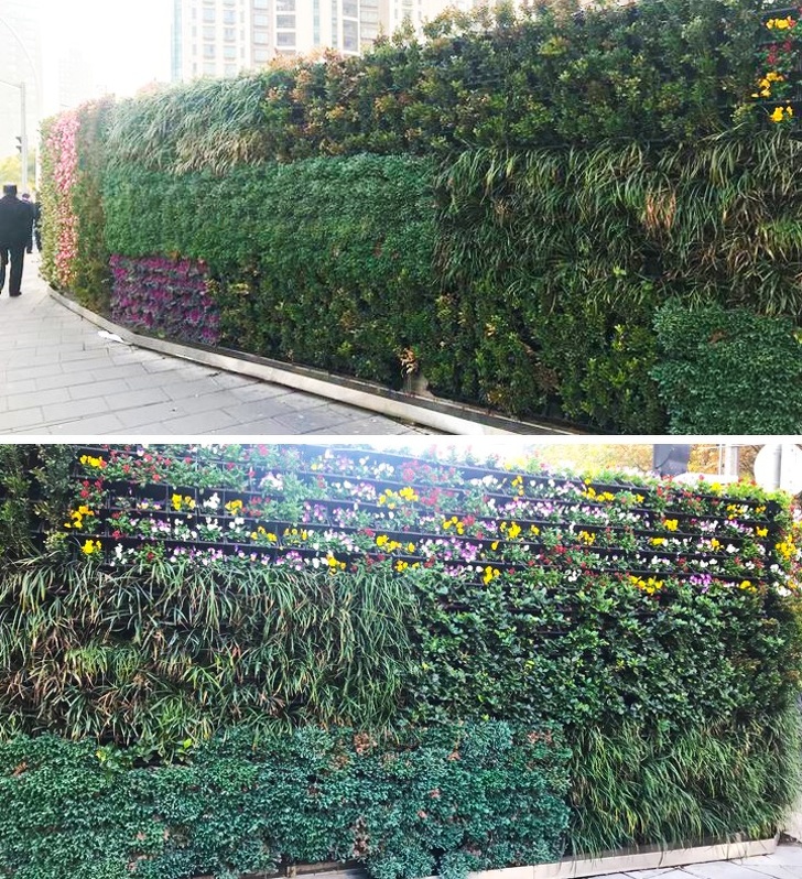 26 речей, які хоча б раз у житті варто побачити кожному