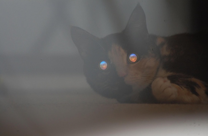 26 речей, які хоча б раз у житті варто побачити кожному