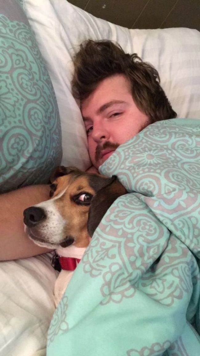 26 ревнивих тварин, які обрали свого чоловіка і не мають наміру ділити її з ким-то ще