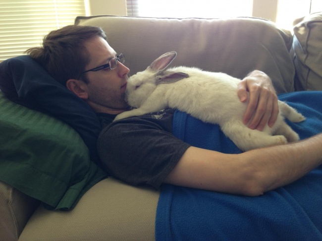 26 ревнивих тварин, які обрали свого чоловіка і не мають наміру ділити її з ким-то ще