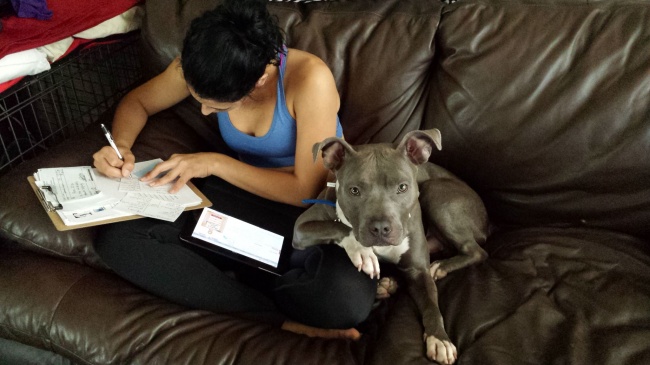 26 ревнивих тварин, які обрали свого чоловіка і не мають наміру ділити її з ким-то ще