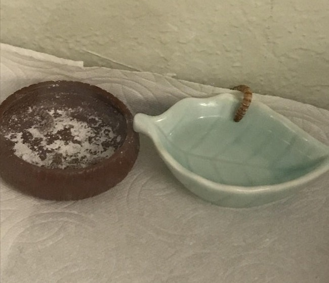 26 знімків, які перевертають погляд на звичайні речі