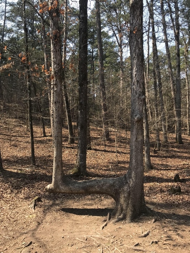 26 знімків, які перевертають погляд на звичайні речі