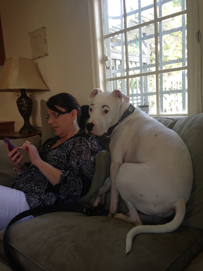 27 братів і сестер, про які можна тільки мріяти