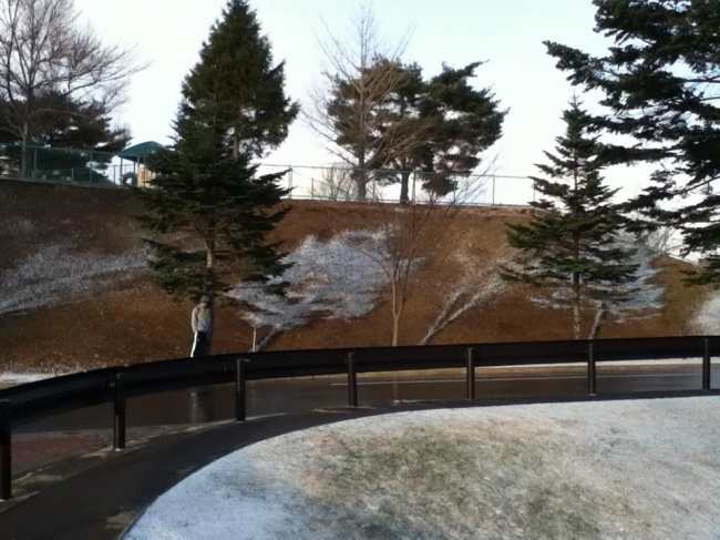 27 доказів того, що зима — геніальний художник, дизайнер і скульптор в одному флаконі