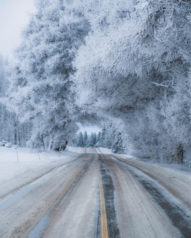 27 доказів того, що зима — геніальний художник, дизайнер і скульптор в одному флаконі