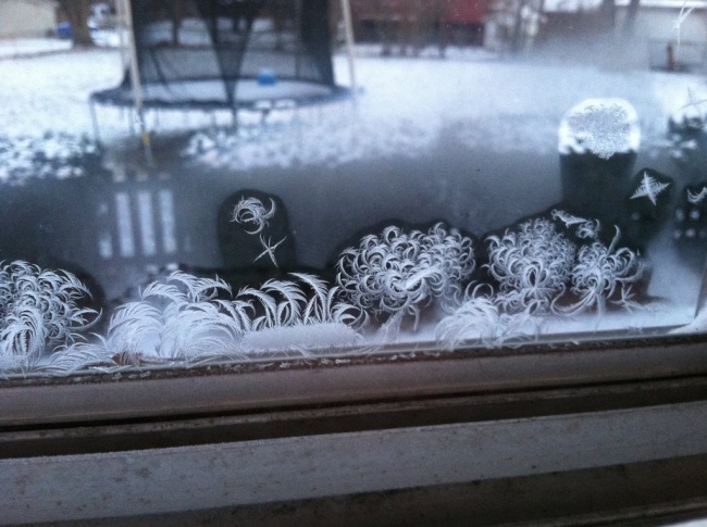 27 доказів того, що зима — геніальний художник, дизайнер і скульптор в одному флаконі