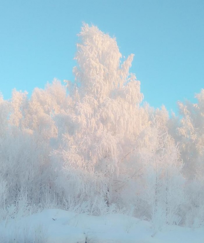 27 доказів того, що зима — геніальний художник, дизайнер і скульптор в одному флаконі