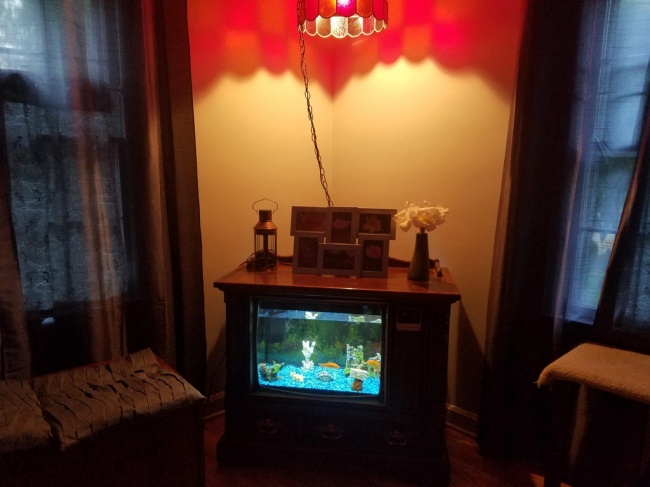 27 народних умільців, які здатні створити шедевр із чого завгодно