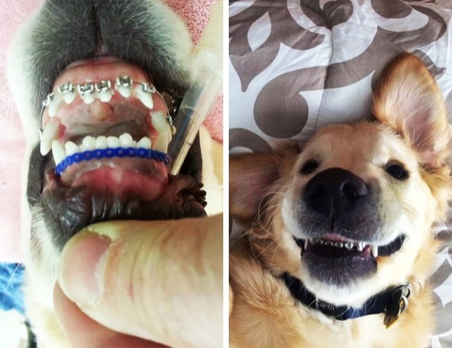 27 речей, яких ви, напевно, ще не бачили