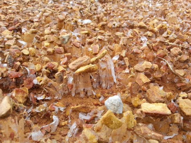 27 речей, яких ви, напевно, ще не бачили