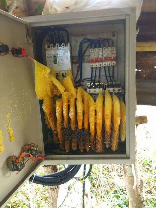 27 речей, яких ви, напевно, ще не бачили