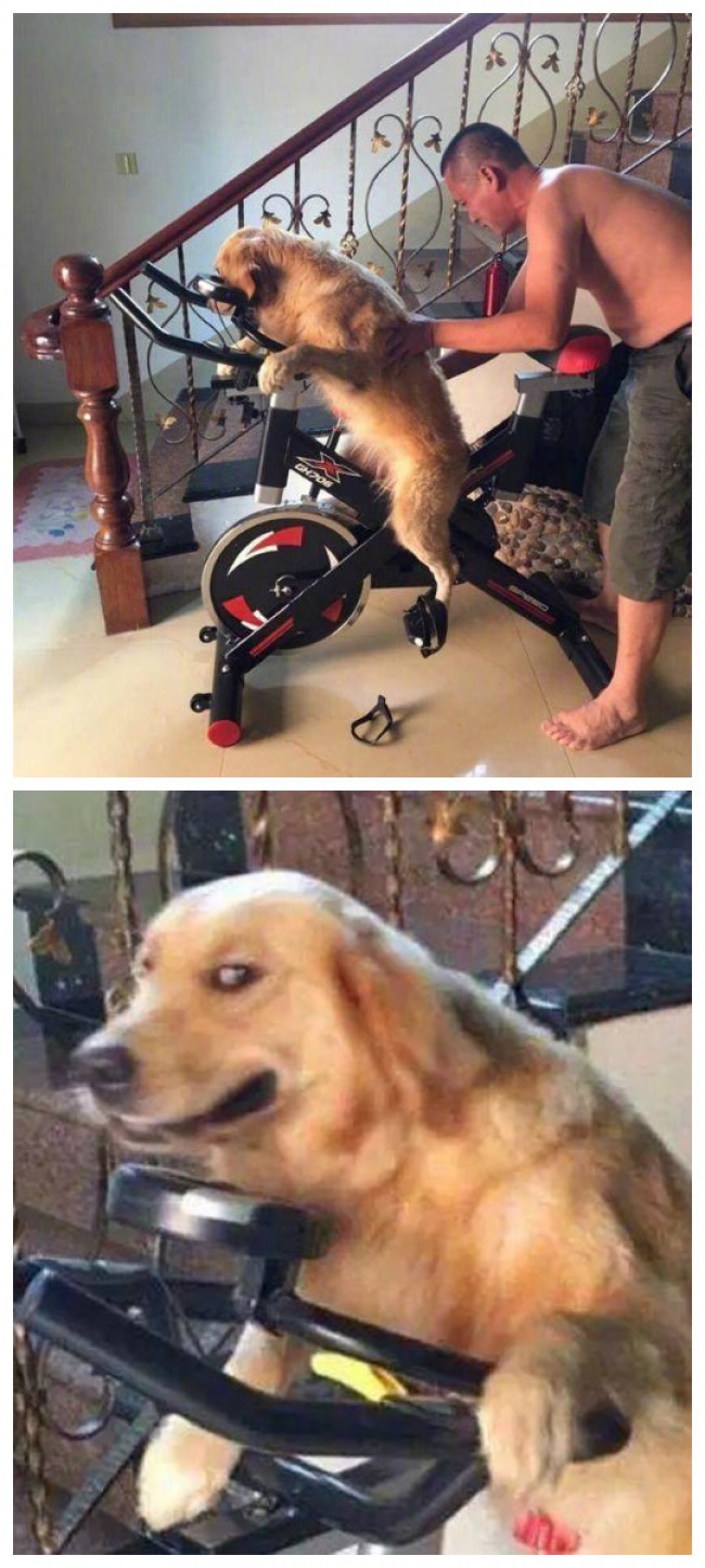 28 крутих батьків, навчилися не паритися через дрібниці