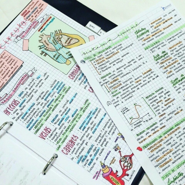 29 фото, які як бальзам на душу для будь-якого перфекціоніста