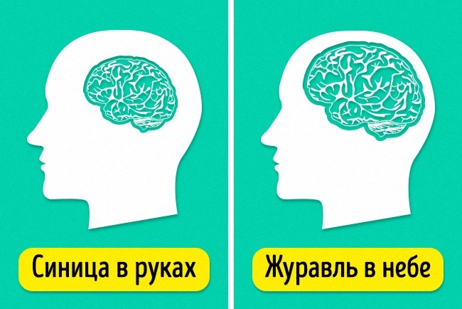3 коротких запитання, які розкажуть про ваш IQ
