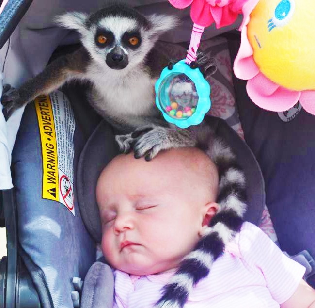 30 фотографій, які доводять, що ідеальних батьків не буває