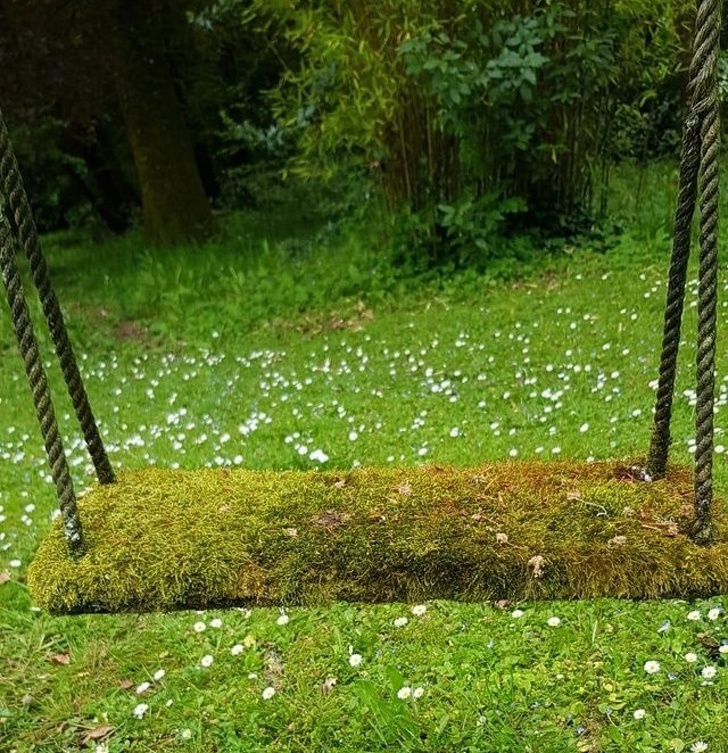 30+ речей, які мало хто бачив вживу