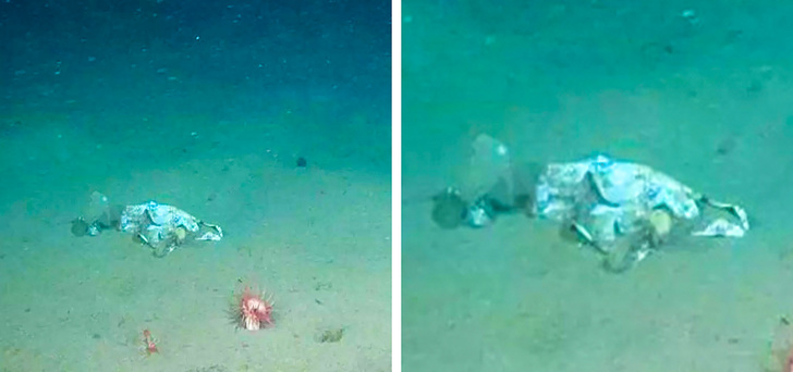 30+ речей, які мало хто бачив вживу