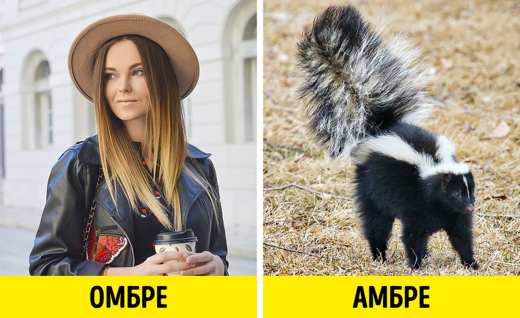 30+ сучасних слів і виразів, які ми постійно використовуємо, але не завжди правильно