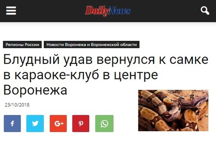 30 заголовків, в яких журналісти дали волю креативу