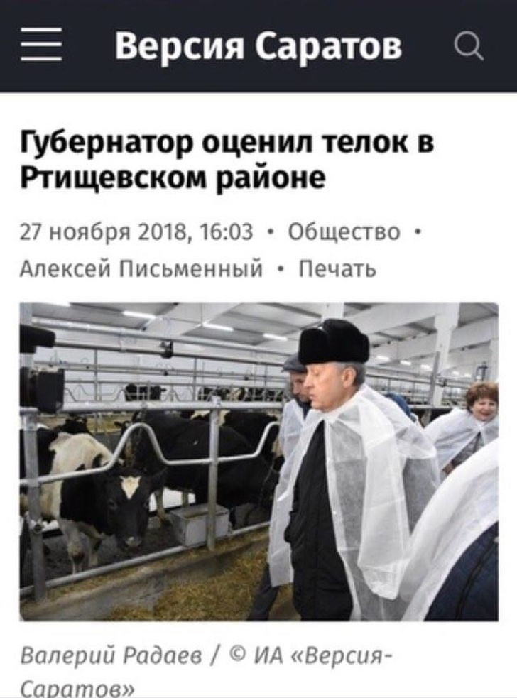 30 заголовків, в яких журналісти дали волю креативу