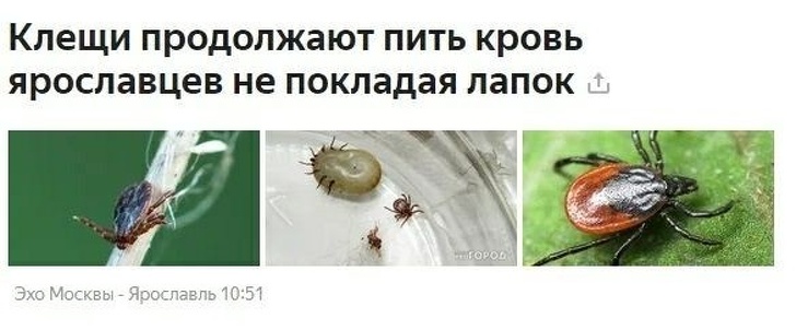 30 заголовків, в яких журналісти дали волю креативу