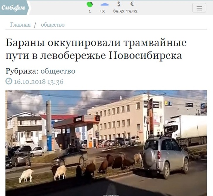 30 заголовків, в яких журналісти дали волю креативу