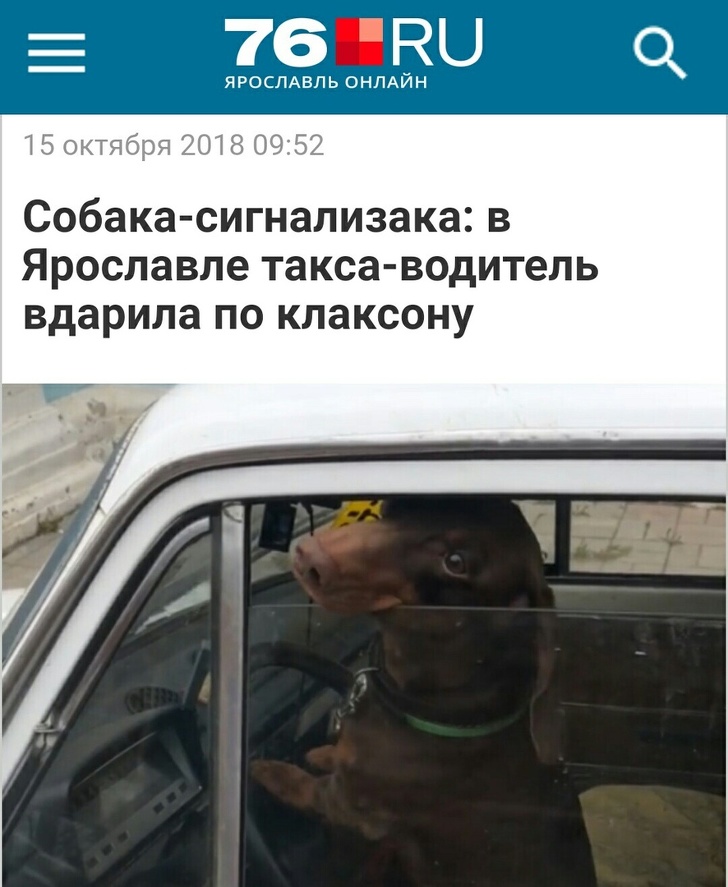 30 заголовків, в яких журналісти дали волю креативу