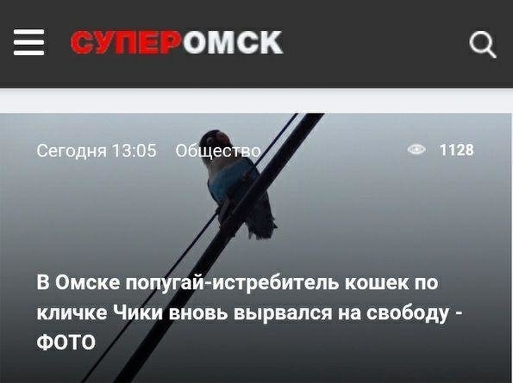 30 заголовків, в яких журналісти дали волю креативу